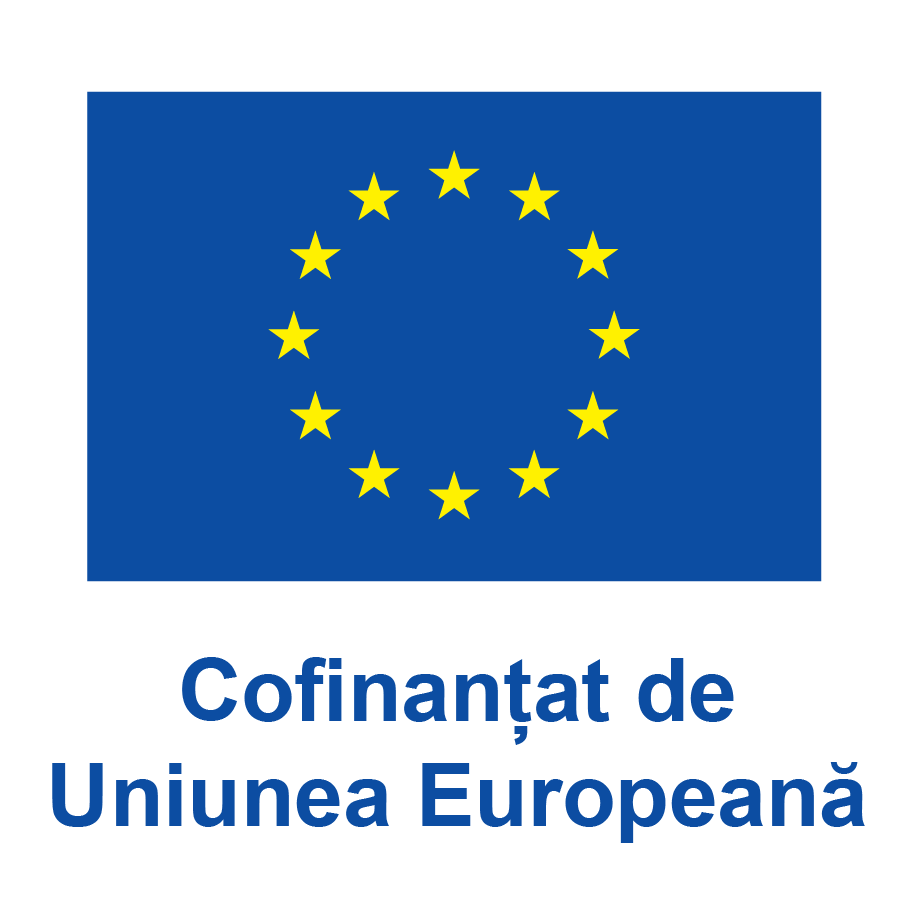 Emblema Uniunii Europene cu declarația Cofinanțat de Uniunea Europeană